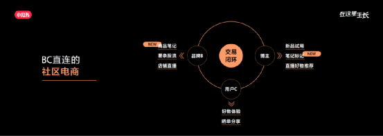 电商用户邂逅内容平台,品牌如何在小红书做电商营销? 电商用户邂逅内容平台,品牌如何在小红书做电商营销?