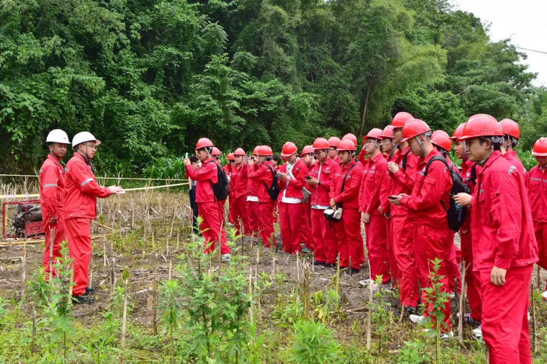 一次难忘的“沉浸式”体验 一次难忘的“沉浸式”体验