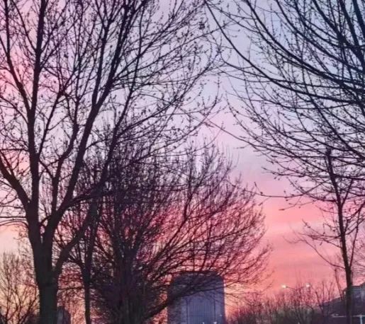 沉浸式!体验侦查人的一天 沉浸式!体验侦查人的一天