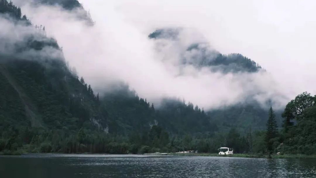 用户生成内容 用户生成内容