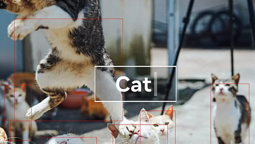 深度学习算法的5种标志性用途 _ 图像识别技术前瞻 深度学习算法的5种标志性用途 _ 图像识别技术前瞻