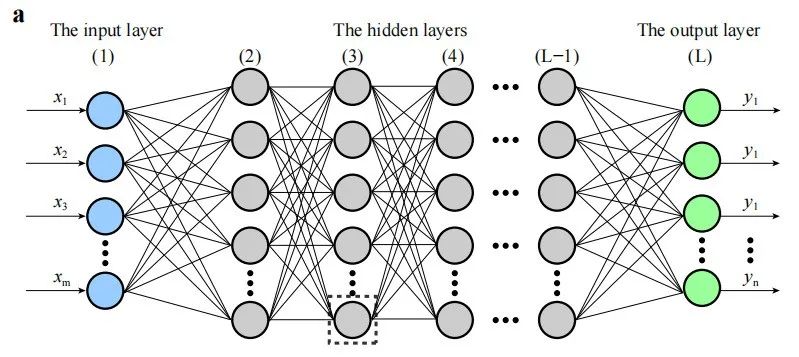 深度学习领域的十大革命性算法 深度学习领域的十大革命性算法