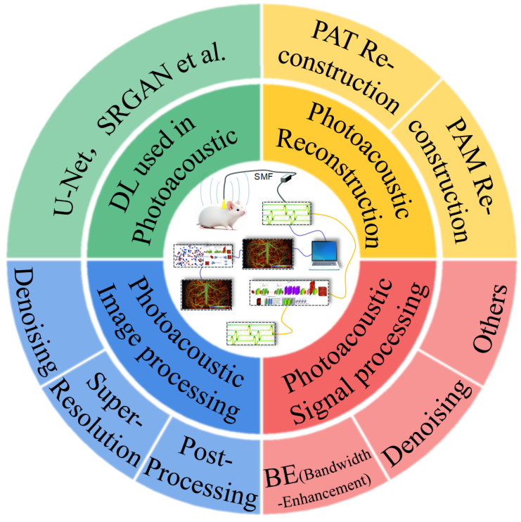 综述:深度学习驱动下的光声成像技术 综述:深度学习驱动下的光声成像技术