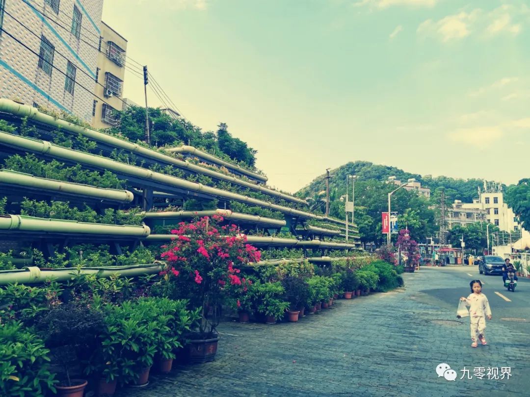 短视频拍摄制作—最全内容 短视频拍摄制作—最全内容