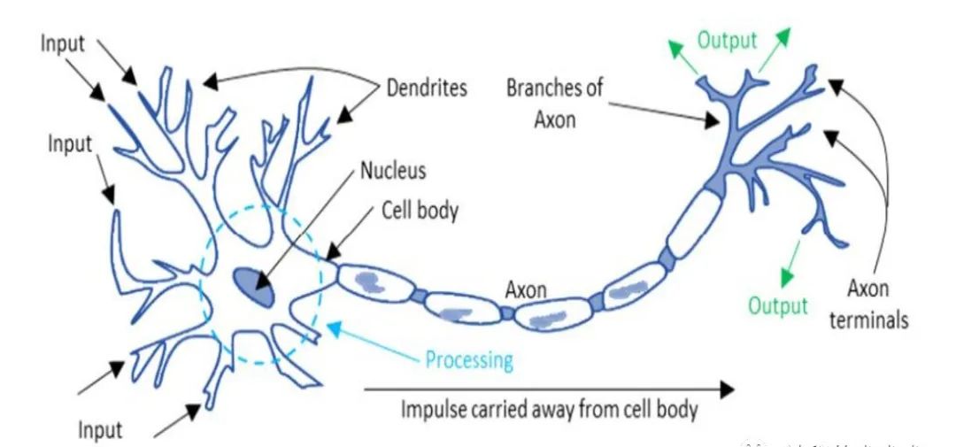 人工智能-人工神经网络 人工智能-人工神经网络
