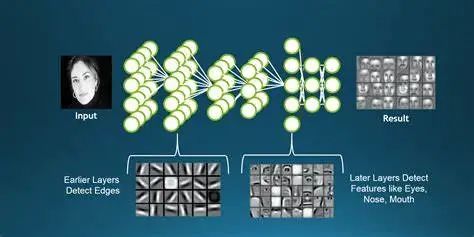 关于机器学习和人工神经网络 关于机器学习和人工神经网络