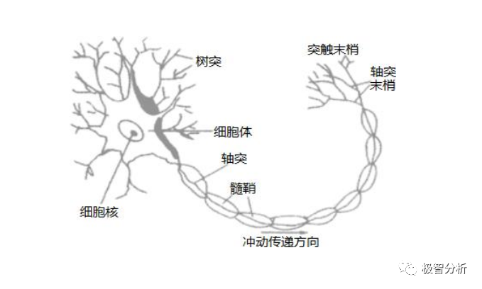 机器学习干货篇:人工神经网络(上) 机器学习干货篇:人工神经网络(上)
