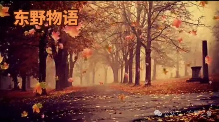 网红直播带货的几宗大罪 网红直播带货的几宗大罪