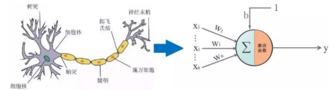 AI快速入门必读 AI快速入门必读