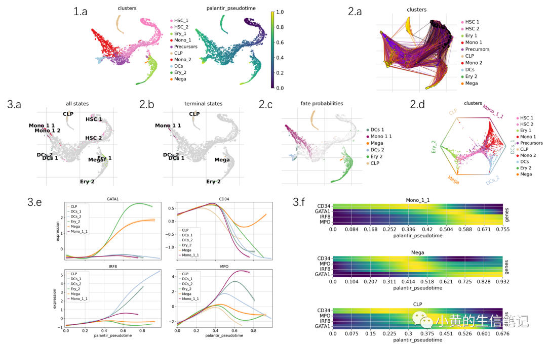 CellRank2教程2-快速入门 CellRank2教程2-快速入门