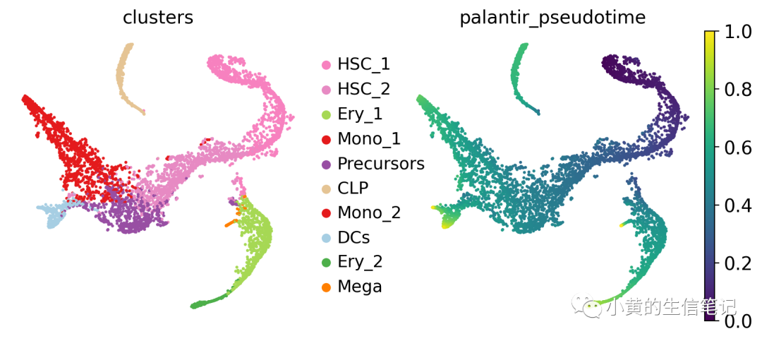 CellRank2教程2-快速入门 CellRank2教程2-快速入门