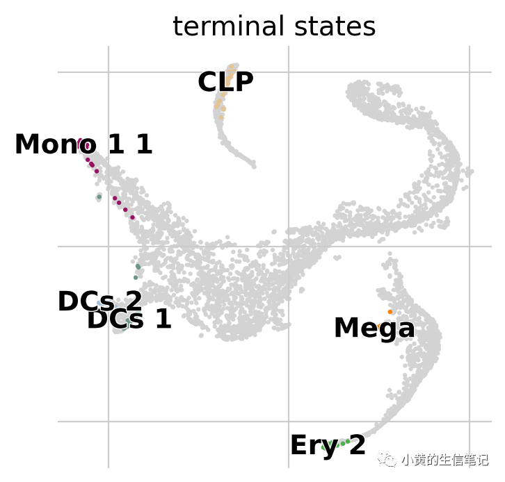 CellRank2教程2-快速入门 CellRank2教程2-快速入门
