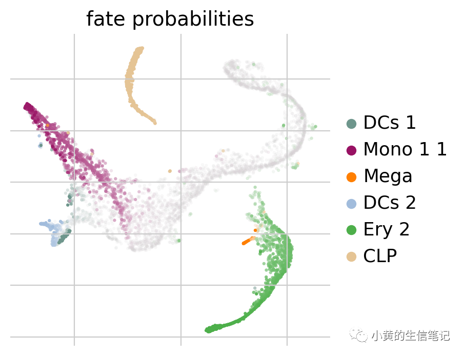 CellRank2教程2-快速入门 CellRank2教程2-快速入门