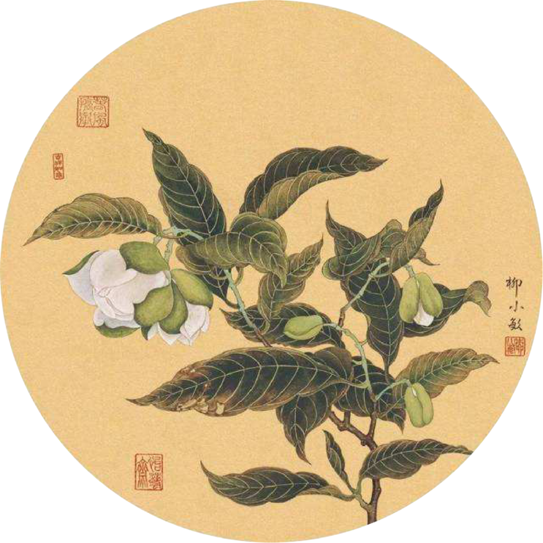 易经简明学习指南(1)-怎样快速入门 易经简明学习指南(1)-怎样快速入门