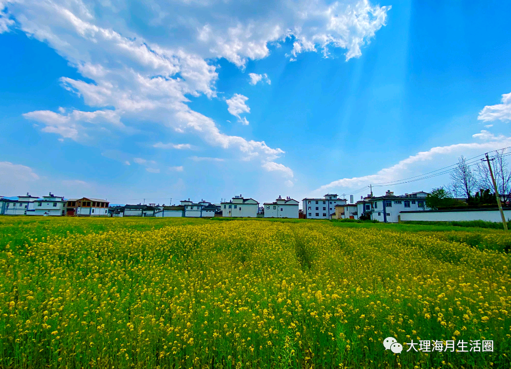教师的辅助AI工具分享 教师的辅助AI工具分享