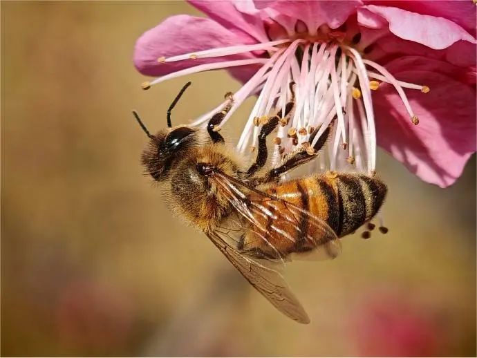 要不要使用AI工具创作? 要不要使用AI工具创作?